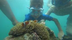 Amazing Bintan guest photo
