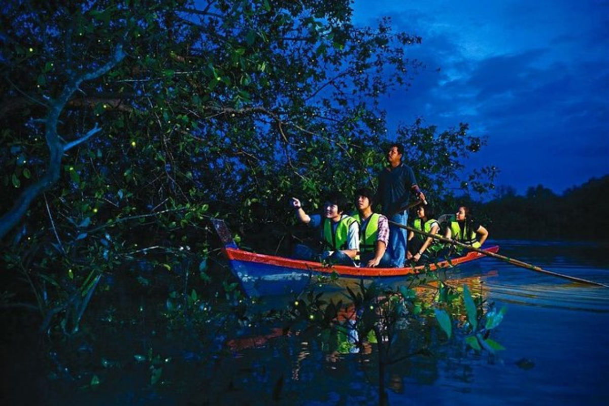 wsiatawan manca negara ramai mengunjungi telok sebong ingin melihat firefly