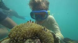 Amazing Bintan guest photo